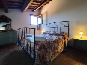 Agriturismo Campo alla Cantina appartamento Sulla Gavorrano